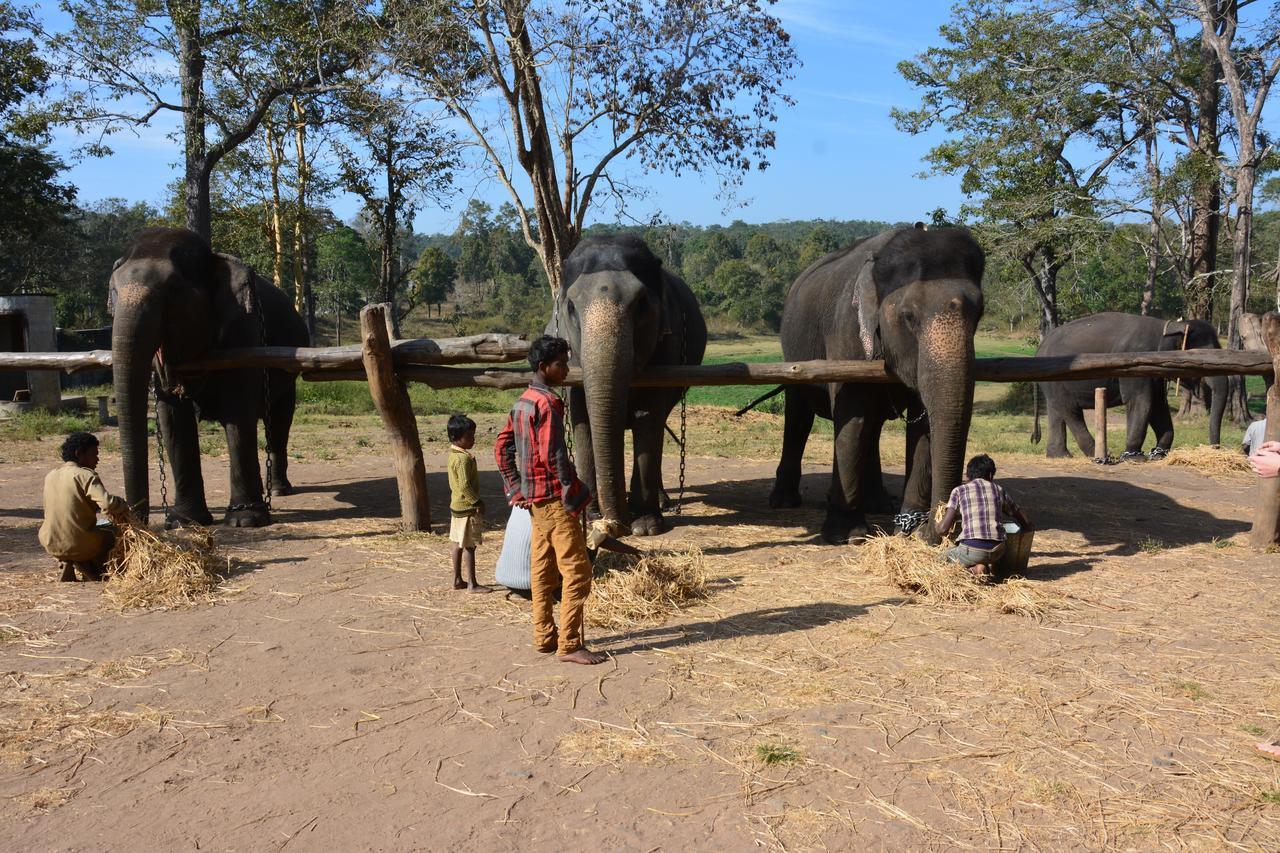 Отель Red Earth Kabini Begur Экстерьер фото